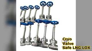 Cryo Globe Valve 5.0Mpa LNG LOX নিরাপদ