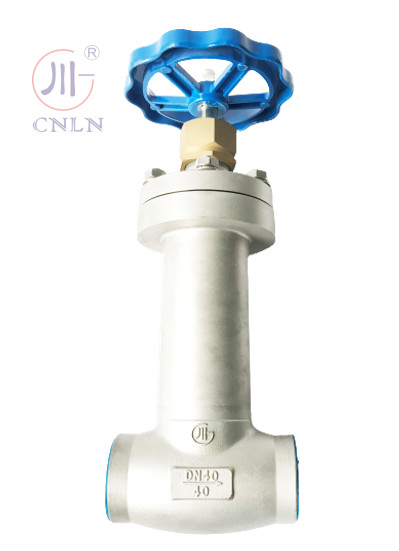 PN40 DN40 LNG/LOX/LN2/LAR/LCO2 এর জন্য ভ্যাকুয়াম জ্যাকেট সহ নিম্ন তাপমাত্রার গ্লোব ভালভ