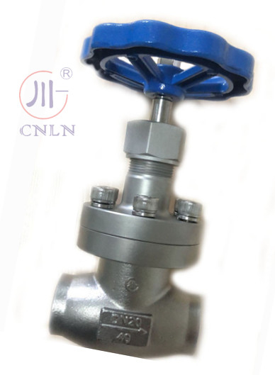 CNLN/Arman DJ61F-40P SS304/316 LNG/LOX/LN2 সিস্টেমের জন্য ক্রায়োজেনিক গ্লোব ভালভ শর্ট স্টেম-টাইপ A ((DN10-100mm) CE/ISO/EAC সার্টিফাইড