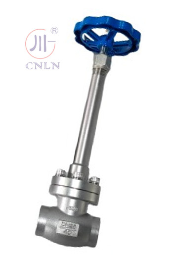 LNG/LOX/LN2/LAR/LCO2 এর জন্য ম্যানুয়াল স্টেইনলেস স্টীল নিম্ন তাপমাত্রা গ্লোব ভালভ DN25