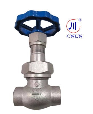 CNLN/Arman DJ61F-40P SS304/316 LNG/LOX/LN2 সিস্টেমের জন্য ক্রায়োজেনিক গ্লোব ভালভ শর্ট স্টেম-টাইপ C ((DN10-50mm) CE/ISO/EAC সার্টিফাইড