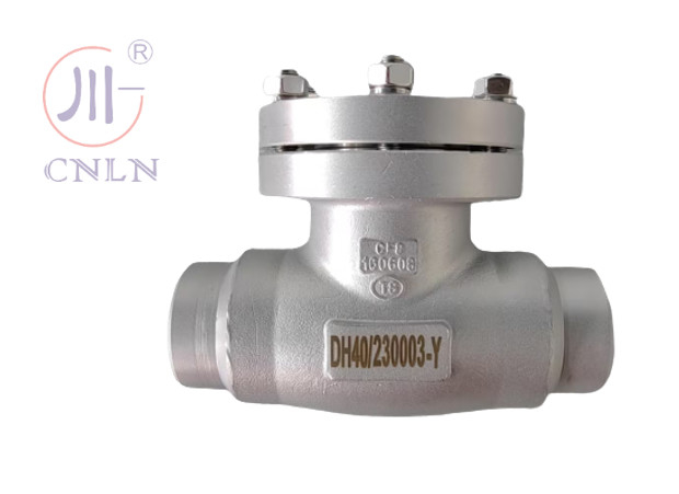 CF3/CF8 LNG/LOX/LN2/LAR/LCO2 Cryogenic Storage Tank এর জন্য ক্রায়োজেনিক চেক ভালভ