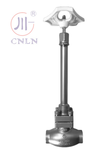 SS304/316 LNG/LOX/LN2 এর জন্য Cryogenic Globe Valve Long Stem-Type D ((DN10-100mm)