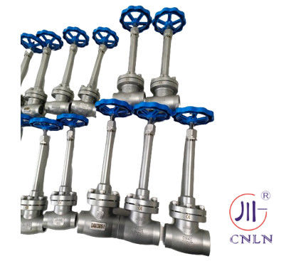 SS304/316 LNG/LOX/LN2 এর জন্য ক্রায়োজেনিক গ্লোব ভ্যালভ সংক্ষিপ্ত স্টেম-টাইপ B ((DN10-100mm)