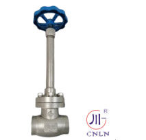 PN50 PN40 ক্রায়োজেনিক গ্লোব ভালভ -196 ~ + 80 °C LNG LOX LIN LAR LCO2 লিউইড গ্যাসগুলির জন্য