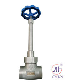 LN2 DN25 LNG/LOX/LN2/LAR/LCO2 এর জন্য ক্রায়োজেনিক সকেট ওয়েল্ড গ্লোব ভালভ DJ61F-40P
