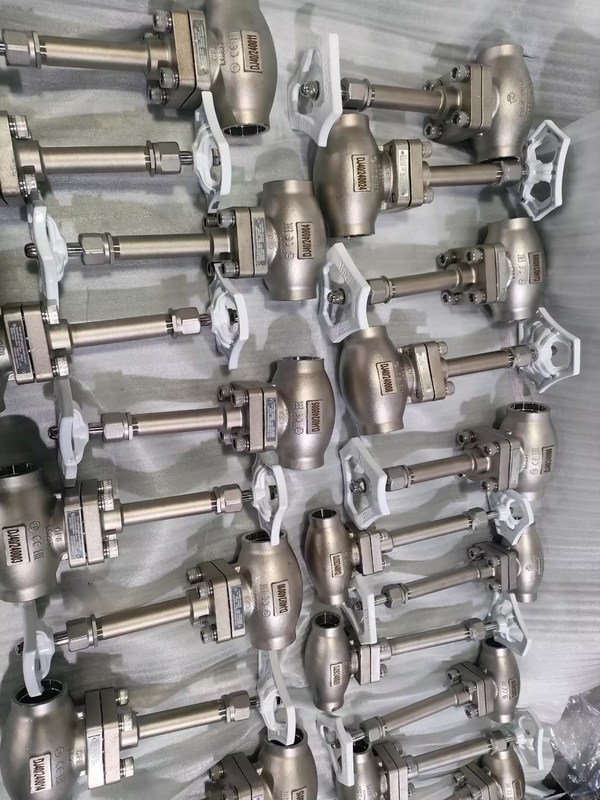 DN25 ক্রায়োজেনিক গ্লোব ভালভ স্টেইনলেস স্টীল 304/316 পিটিএফই সিল এবং CF8/CF3 ভালভ শরীরের সাথে -196 °C থেকে +80 °C অ্যাপ্লিকেশনগুলির জন্য