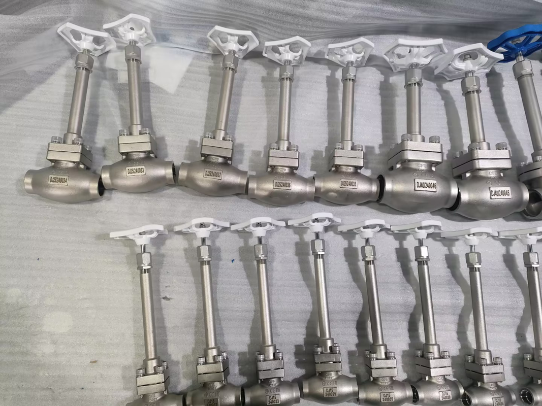 DN25 ক্রায়োজেনিক গ্লোব ভালভ স্টেইনলেস স্টীল 304/316 পিটিএফই সিল এবং CF8/CF3 ভালভ শরীরের সাথে -196 °C থেকে +80 °C অ্যাপ্লিকেশনগুলির জন্য