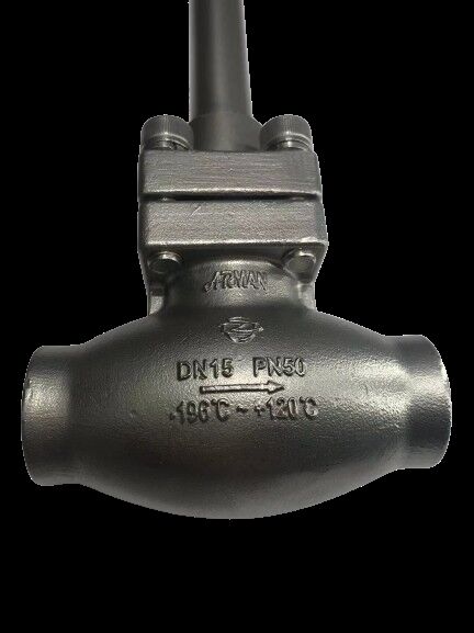 স্টেইনলেস স্টিল 304/316 ক্রায়োজেনিক গ্লোব ভালভ, 5.0Mpa সর্বোচ্চ চাপ এবং -196°C থেকে +80°C তাপমাত্রা সীমা সহ